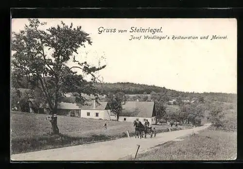 AK St. Andrä-Wördern, Steinriegel, Josefa Weidlinger`s Restaurant und Meierei