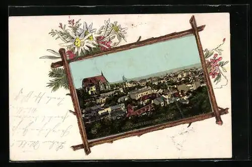 AK Mödling /Nied.-Österr., Ortsansicht mit der Kirche, im floralen Passepartout