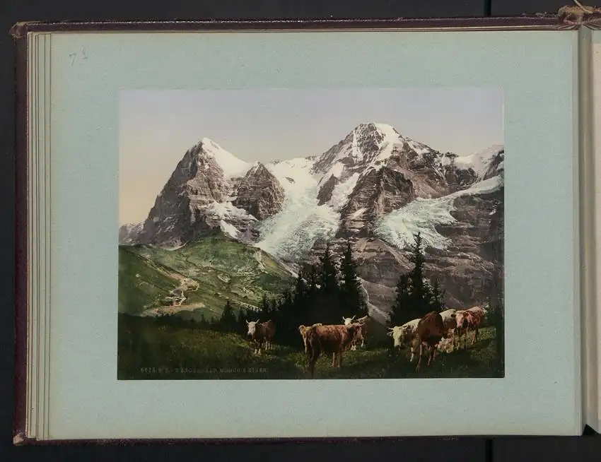 Fotoalbum mit 38 Fotografien, Ansicht Rapallo, Südtirol, Gletscher, Panorama vom Kleinboden, Gardasee 11