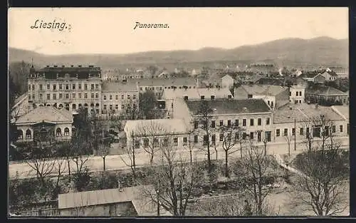 AK Liesing, Ortsansicht aus der Vogelschau