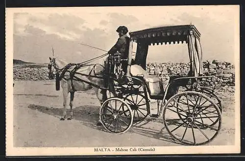 AK Malta, Maltese Cab, Carrozin