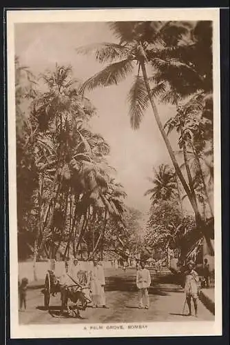 AK Bombay, A Palm Grove