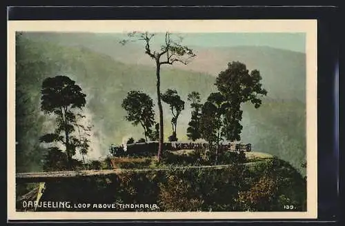 AK Darjeeling, Loop Above Tindharia