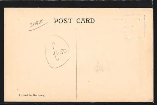 AK Darjeeling, View from Shrubbery