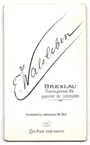 Fotografie E. Walsleben, Breslau, Zwingerstr. 24, Elegant gekleideter Herr mit Schnauzbart