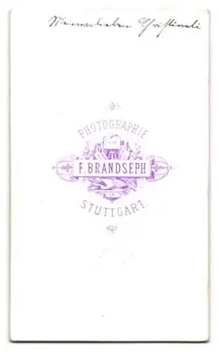 Fotografie F. Brandseph, Stuttgart, Junge Dame mit Flechtfrisur und Kragenbrosche