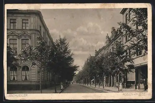 AK Eschweiler, Rosen-Allee, Strassenpartie