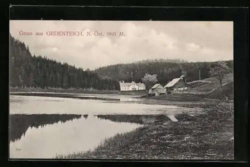 AK Ödenteich in N.-Ö., Gehöft am Teichufer