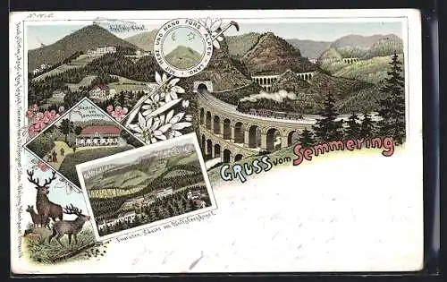 Lithographie Semmering, Südbahn-Hotel, Touristen-Häuser am Wolfsbergkogel, Meierei am Semmring