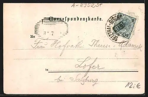 Lithographie Steinach-Irdning, Buderer-See bei Aigen, Wörschach, Pürgg