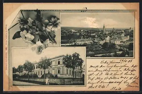 Passepartout-AK Horn, Schülerheim, Ortsansicht aus der Vogelschau, Blumen