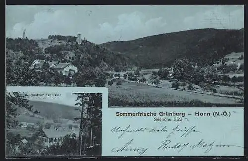 AK Grünberg-Horn /N.-Ö., Gasthof Excelsior, Panorama