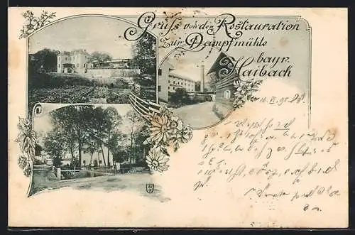 Lithographie Haibach / Passau, Restauration zur Dampfmühle