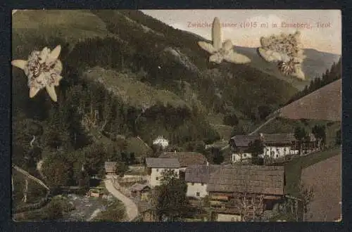 Trockenblumen-AK Zwischenwasser in Enneberg, Ortsansicht und Trockenblumen