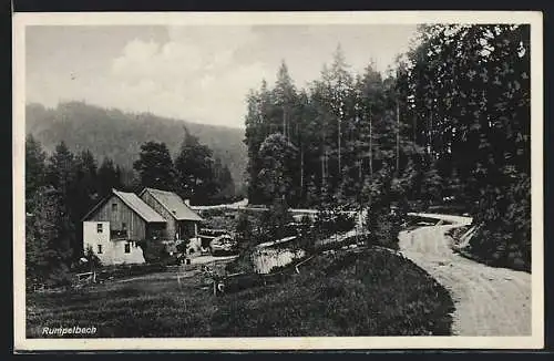 AK Rumpelbach /Floss, Haus und Strasse am Waldrand