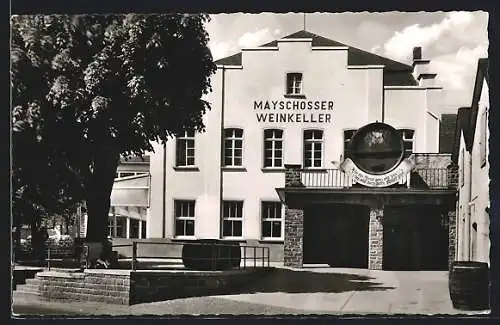 AK Mayschoss /Ahr, Weinkeller des Mayschosser Winzer-Vereins