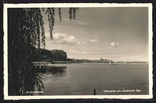 AK Zeuthen /Mark, Uferpartie am Zeuthener See