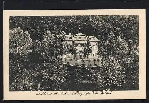 AK Auerbach /Bergstrasse, Villa Waldruh aus der Vogelschau