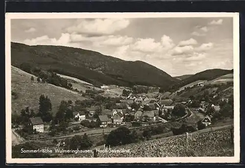 AK Wulmeringhausen /Hoch-Sauerland, Ortsansicht im Tal