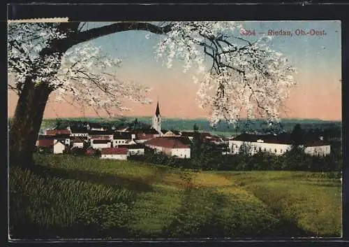 AK Riedau /Ob.-Oest., Ortsansicht im Frühling