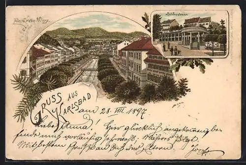Lithographie Karlsbad, Alte und neue Wiese, Schlossbrunn
