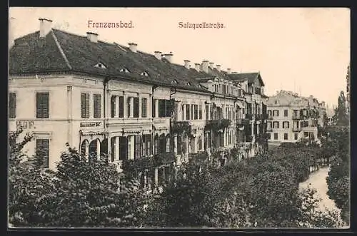 AK Franzensbad, Salzquellstrasse mit Hotel Russischer Hof