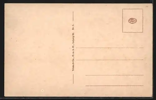 AK Falkenau a. Eger, Ansicht vom Bezirks-Krankenhaus