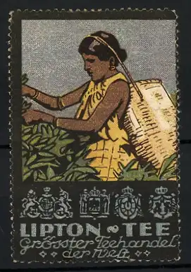 Reklamemarke Lipton-Tee, grösster Teehandel der Welt, Teepflückerin auf dem Feld