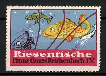 Reklamemarke Riesenfische von Franz Clauss, Reichenbach i. V., verschiedene Fische schwimmen im Wasser