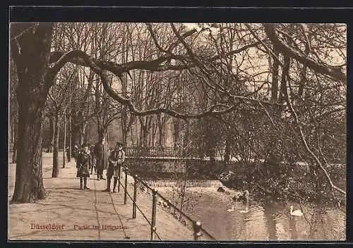 AK Düsseldorf, Partie im Hofgarten