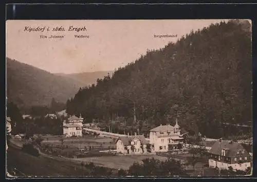 AK Kipsdorf i. sächs. Erzgeb., Blick auf Villa Johanna, Waldburg und Margarethenhof