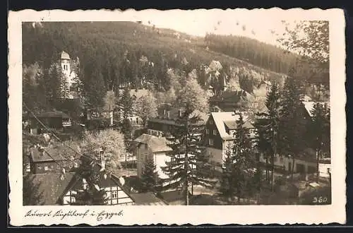 AK Kipsdorf / Erzgeb., Blick aus der Vogelschau