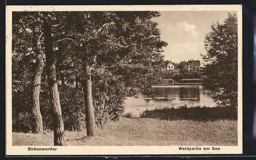 AK Birkenwerder, Waldpartie am See