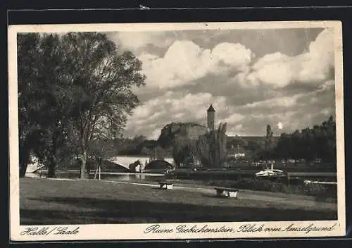 AK Halle / Saale, Ruine Giebichenstein, Blick vom Amselgrund