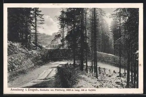 AK Annaberg / Erzgeb., Bobbahn am Pöhlberg