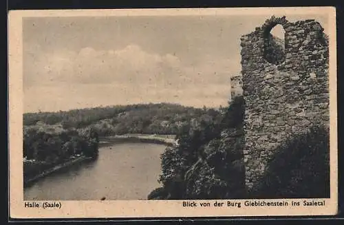 AK Halle a. S., Blick von der Burg Giebichenstein ins Saaletal