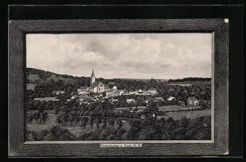AK Steinakirchen a. Forst / N. Ö., Gesamtansicht mit Kirche