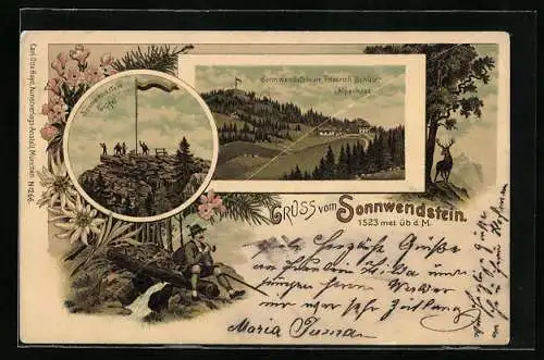 Lithographie Schottwien, Sonnwendstein, Partie auf dem Gipfel, Friedrich Schüler Alpenhaus