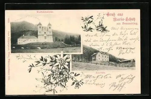 AK Maria Schutz a. S., Wallfahrtskirche, Leo-Villa