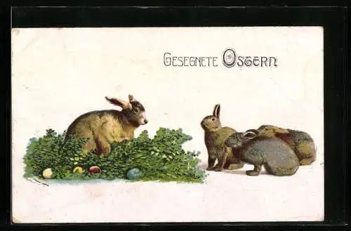 AK Osterhasen lernen die Eier zu verstecken