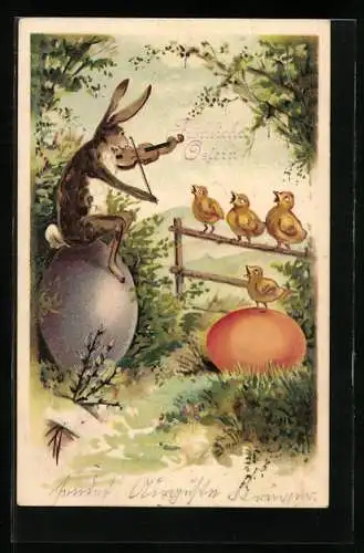 AK Osterhase spielt Geige für Osterküken