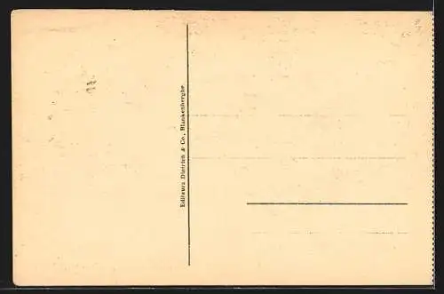 AK Blankenberghe, Le grand escalier