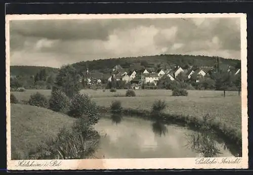 AK Adelsheim i. Bd., Südliche Ansicht