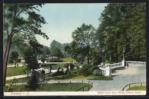 AK Freiberg i. S., Blick nach dem König Albert Park