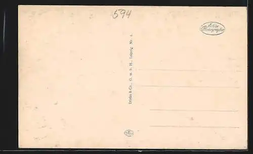 AK Soest i. Westf., Partie am Stadtwall