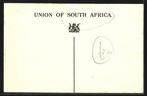 AK Durban, West Street with Tram, Strassenbahn