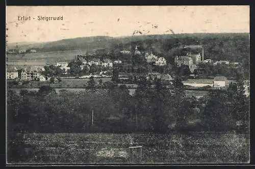 AK Erfurt, Blick auf Steigerwald