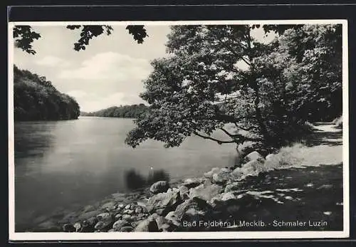 AK Bad Feldberg i. Mecklb., Schmaler Luzin