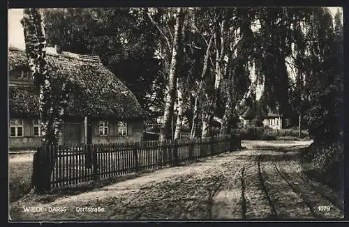 AK Wieck / Rügen, Partie in der Dorfstrasse