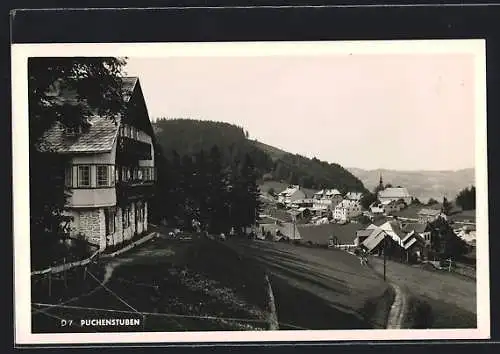 AK Puchenstuben, Teilansicht mit Feldweg